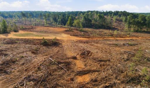 Photo #8 of TBD Flat Rock, Heath Springs, SC