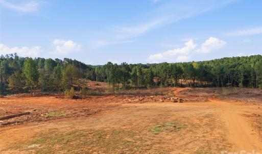 Photo #13 of TBD Flat Rock, Heath Springs, SC