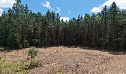 Photo #7 of Cassels, Chester, SC