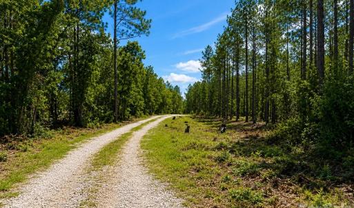 Photo #8 of 3203 Landfill, Mount Croghan, SC