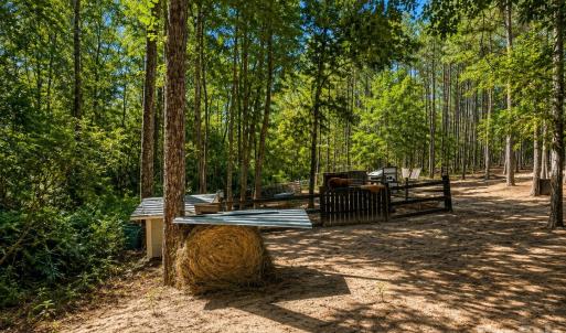 Photo #15 of 3203 Landfill, Mount Croghan, SC