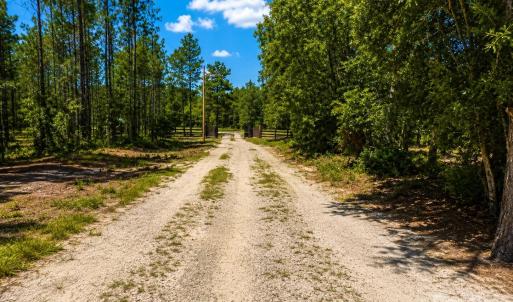 Photo #9 of 3203 Landfill, Mount Croghan, SC