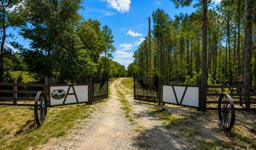 Photo #5 of 3203 Landfill, Mount Croghan, SC