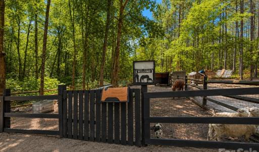 Photo #38 of 3203 Landfill, Mount Croghan, SC