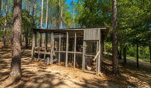 Photo #32 of 3203 Landfill, Mount Croghan, SC