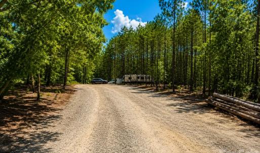 Photo #11 of 3203 Landfill, Mount Croghan, SC