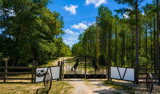 Photo #7 of 3203 Landfill, Mount Croghan, SC