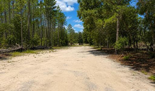 Photo #31 of 3203 Landfill, Mount Croghan, SC