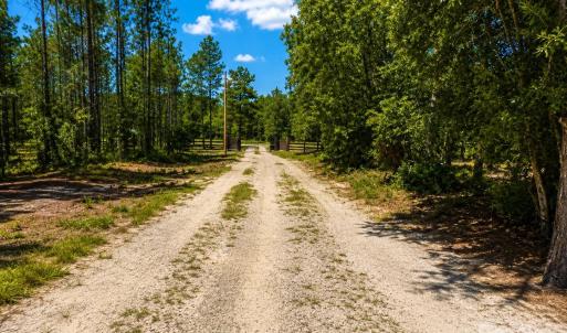 Photo #8 of 3203 Landfill, Mount Croghan, SC