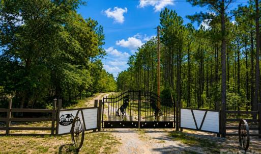 Photo #6 of 3203 Landfill, Mount Croghan, SC