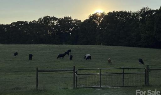 Photo #20 of 8720 Potter, Waxhaw, NC