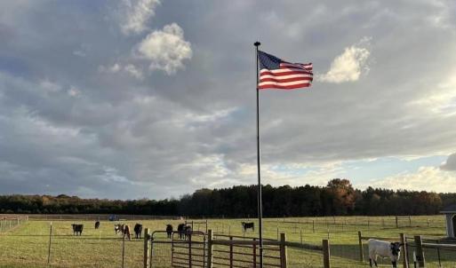 Photo #6 of 8720 Potter, Waxhaw, NC