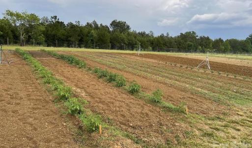 Photo #12 of 8720 Potter, Waxhaw, NC