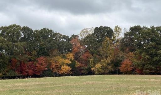 Photo #19 of 8720 Potter, Waxhaw, NC