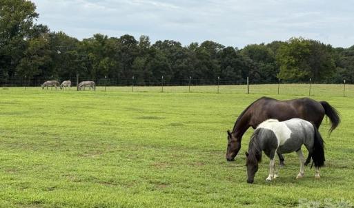 Photo #8 of 8720 Potter, Waxhaw, NC