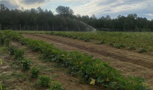 Photo #25 of 8720 Potter, Waxhaw, NC