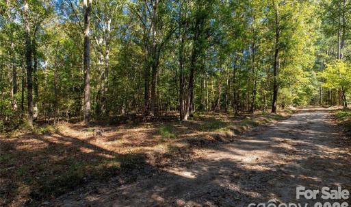 Photo #2 of Saddle, Lancaster, SC