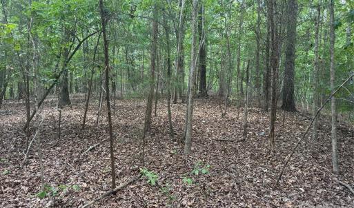 Photo #2 of 7.5 Acres Old Camden Monroe, Lancaster, SC