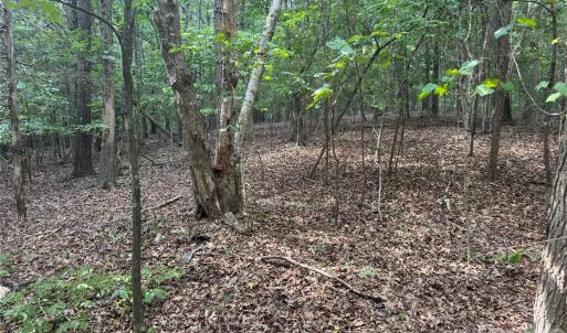 Photo #1 of 7.5 Acres Old Camden Monroe, Lancaster, SC