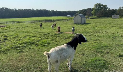 Photo #7 of 12917 Austin, Locust, NC