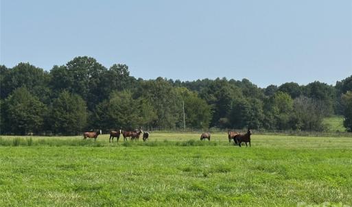 Photo #25 of 12917 Austin, Locust, NC