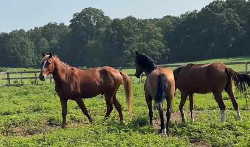 Photo #18 of 12917 Austin, Locust, NC