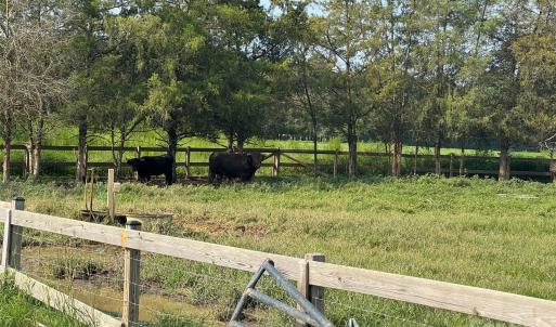 Photo #14 of 12917 Austin, Locust, NC