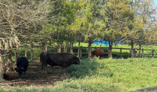 Photo #20 of 12917 Austin, Locust, NC