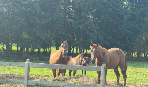 Photo #3 of 12917 Austin, Locust, NC