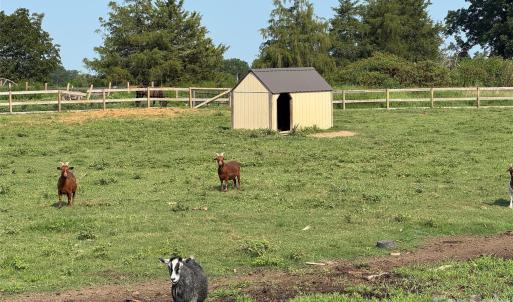Photo #17 of 12917 Austin, Locust, NC