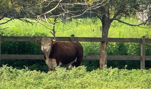 Photo #21 of 12917 Austin, Locust, NC