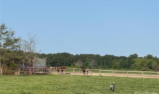 Photo #13 of 12917 Austin, Locust, NC