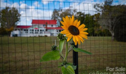 Photo #26 of 1260 Beaver Island Trail, Walnut Cove, NC