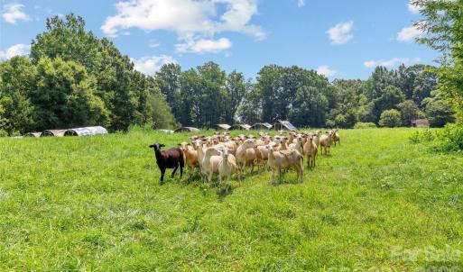 Photo #4 of Pasture, Mt Ulla, NC