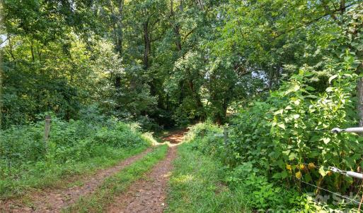 Photo #2 of Pasture, Mt Ulla, NC