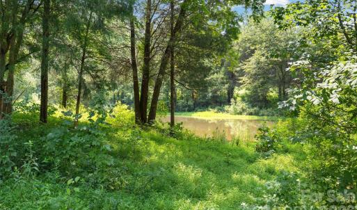 Photo #9 of Pasture, Mt Ulla, NC