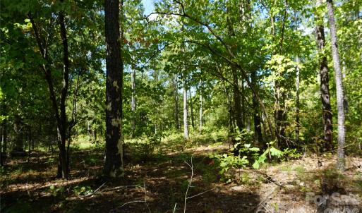 Photo #7 of 6+/- AC Lot 1 Parson, McConnells, SC