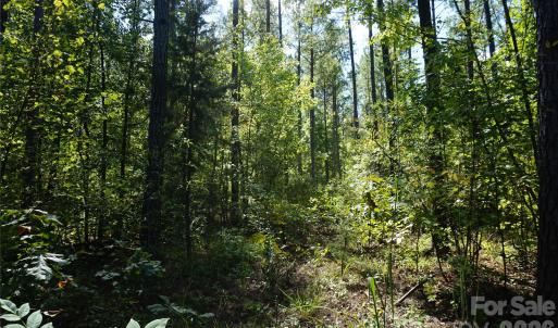 Photo #3 of 6+/- AC Lot 1 Parson, McConnells, SC