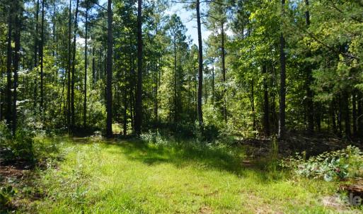 Photo #10 of 6+/- AC Lot 1 Parson, McConnells, SC