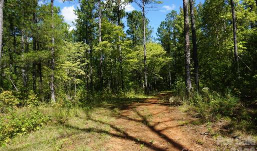 Photo #11 of 6+/- AC Lot 1 Parson, McConnells, SC