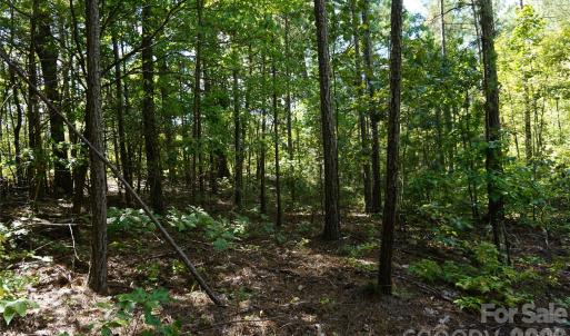 Photo #14 of 6+/- AC Lot 1 Parson, McConnells, SC