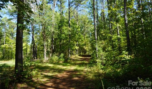 Photo #13 of 6+/- AC Lot 1 Parson, McConnells, SC