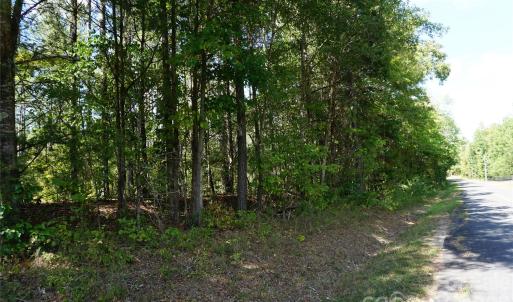 Photo #17 of 6+/- AC Lot 1 Parson, McConnells, SC