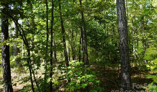 Photo #4 of 6+/- AC Lot 1 Parson, McConnells, SC