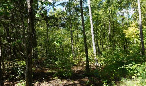 Photo #6 of 6+/- AC Lot 1 Parson, McConnells, SC