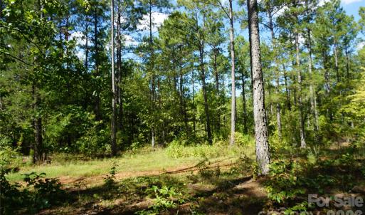 Photo #9 of 6+/- AC Lot 1 Parson, McConnells, SC