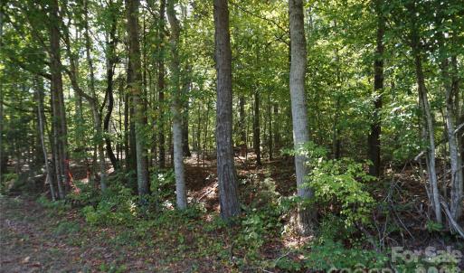 Photo #19 of 6+/- AC Lot 1 Parson, McConnells, SC