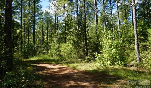 Photo #12 of 6+/- AC Lot 1 Parson, McConnells, SC