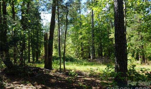 Photo #8 of 6+/- AC Lot 1 Parson, McConnells, SC