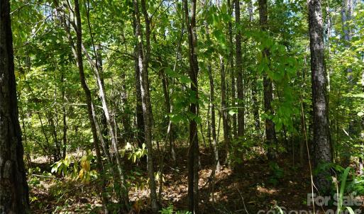 Photo #2 of 6+/- AC Lot 1 Parson, McConnells, SC